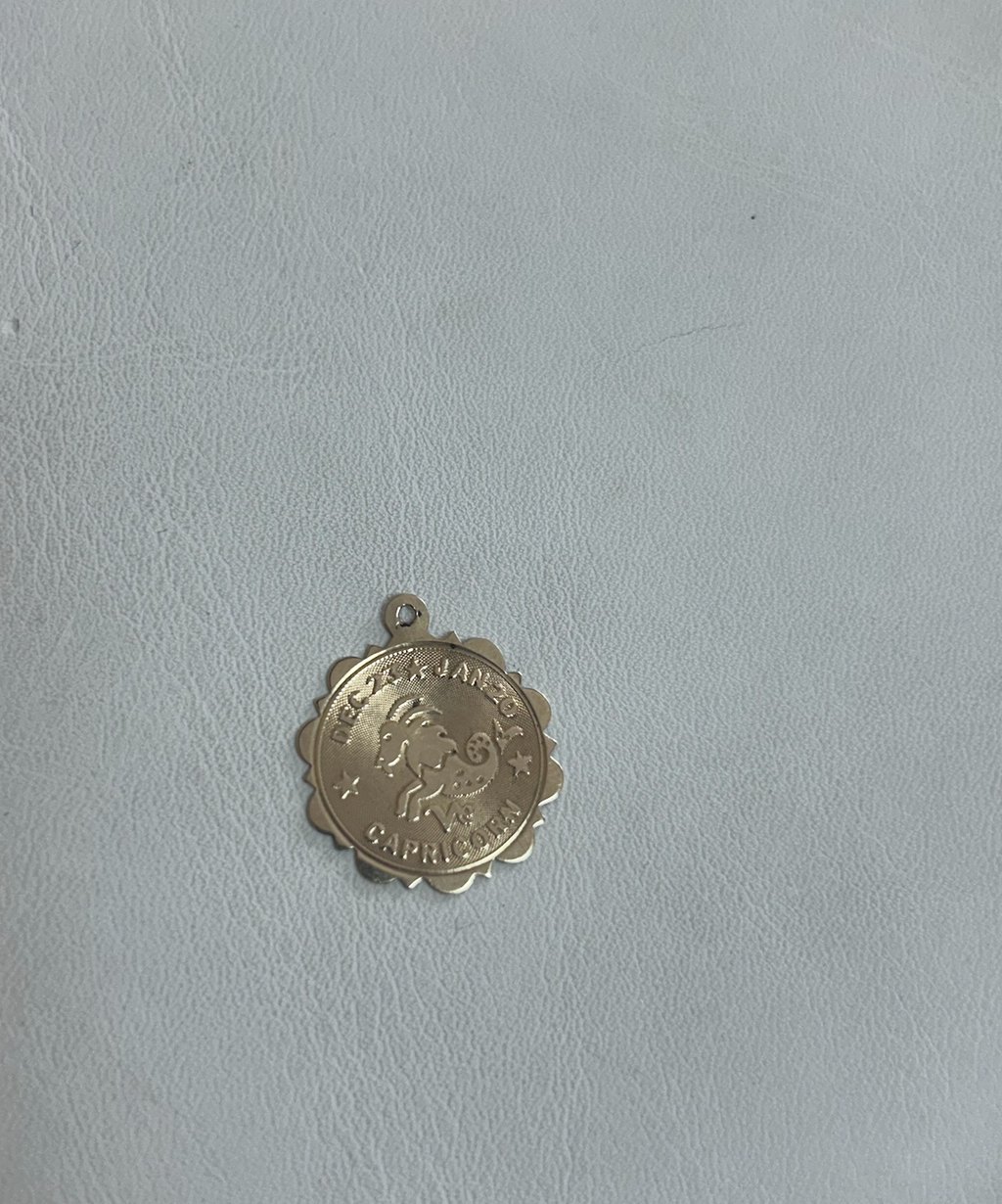 Zodiac Charm [Capricorn]